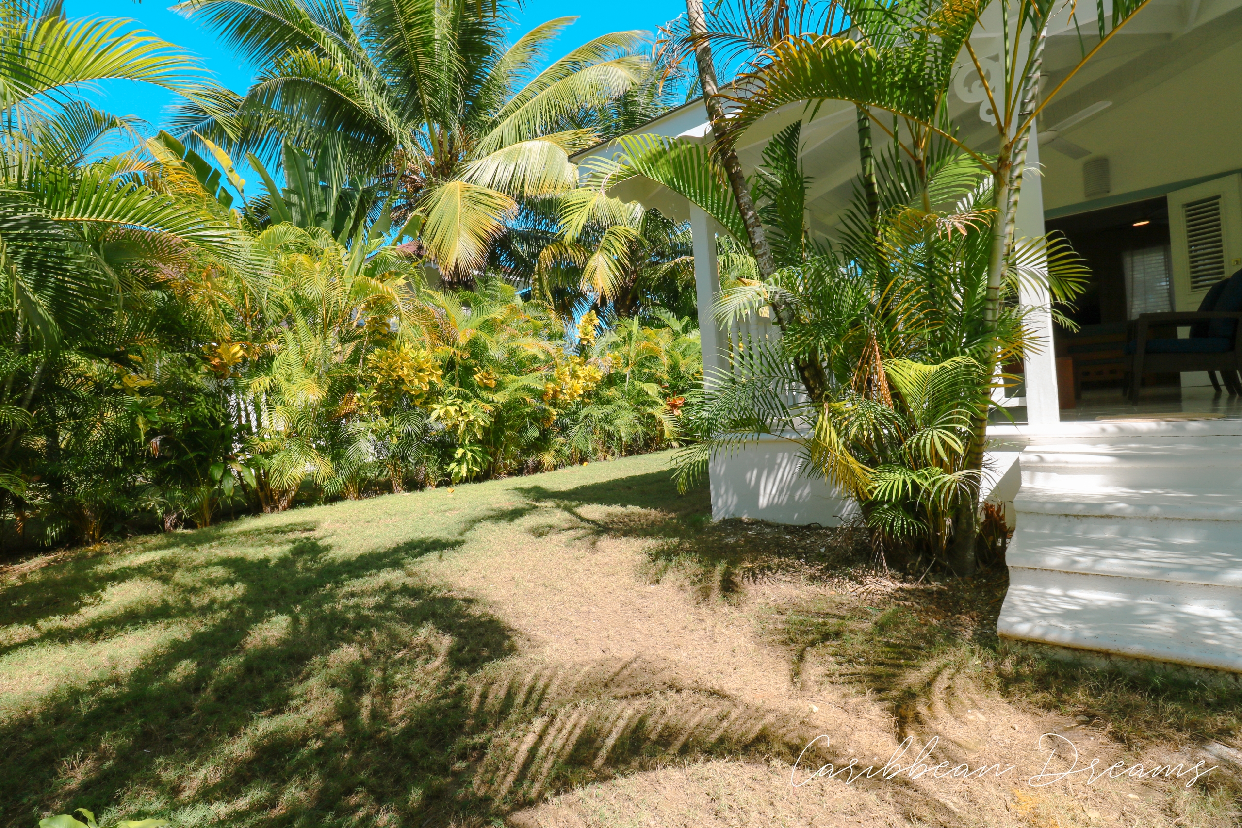 Jardin